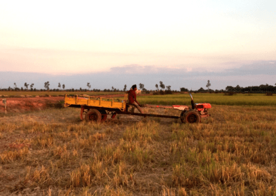 Ploughing the Rice Paddies