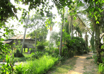 House in the Jungle